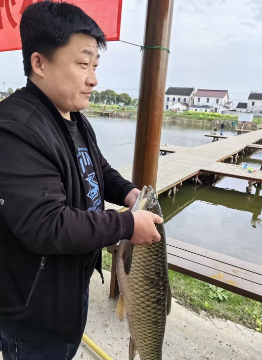 1712391648.png image.png